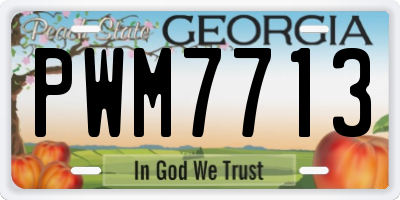 GA license plate PWM7713