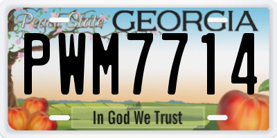 GA license plate PWM7714