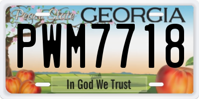 GA license plate PWM7718