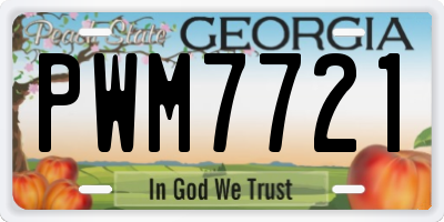 GA license plate PWM7721