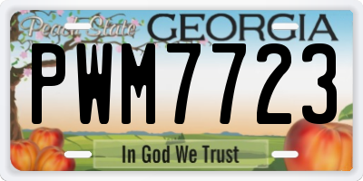 GA license plate PWM7723