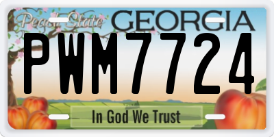 GA license plate PWM7724