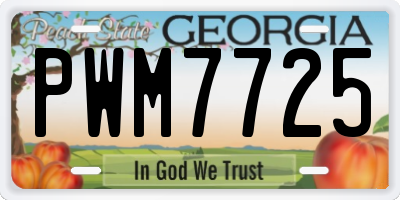 GA license plate PWM7725