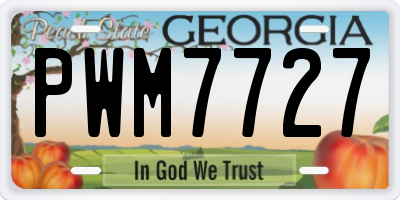 GA license plate PWM7727