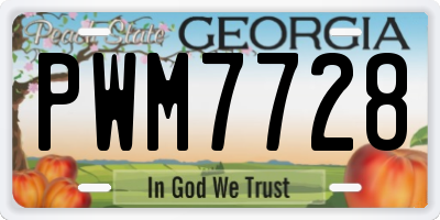 GA license plate PWM7728