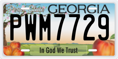 GA license plate PWM7729