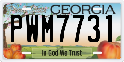 GA license plate PWM7731