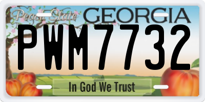 GA license plate PWM7732
