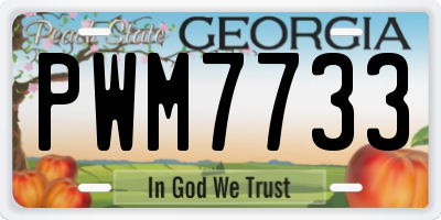 GA license plate PWM7733