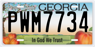GA license plate PWM7734