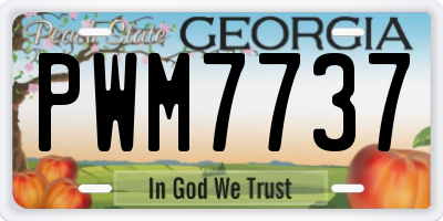 GA license plate PWM7737