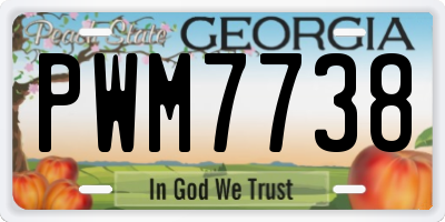 GA license plate PWM7738