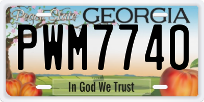 GA license plate PWM7740