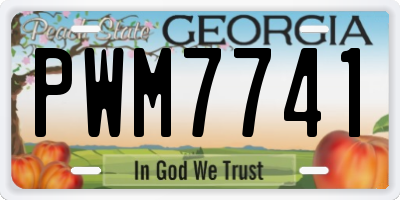 GA license plate PWM7741