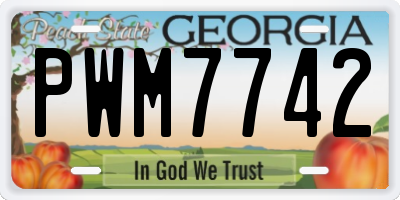 GA license plate PWM7742