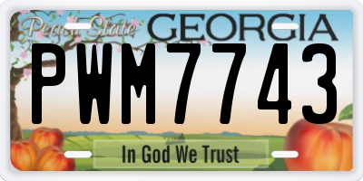 GA license plate PWM7743