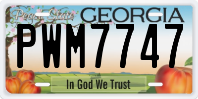 GA license plate PWM7747