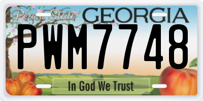 GA license plate PWM7748