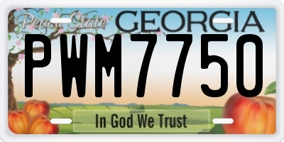 GA license plate PWM7750
