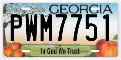 GA license plate PWM7751