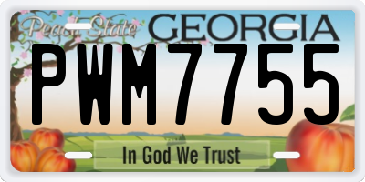 GA license plate PWM7755