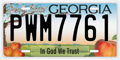 GA license plate PWM7761