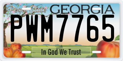 GA license plate PWM7765