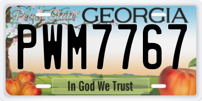 GA license plate PWM7767