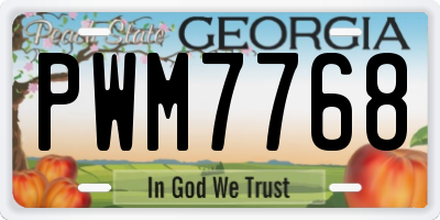 GA license plate PWM7768