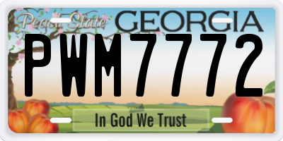 GA license plate PWM7772
