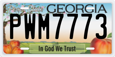 GA license plate PWM7773