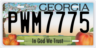 GA license plate PWM7775