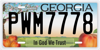 GA license plate PWM7778