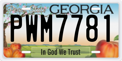 GA license plate PWM7781