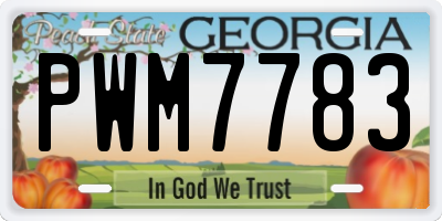 GA license plate PWM7783