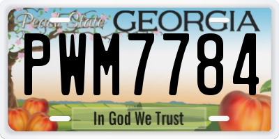 GA license plate PWM7784