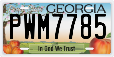 GA license plate PWM7785