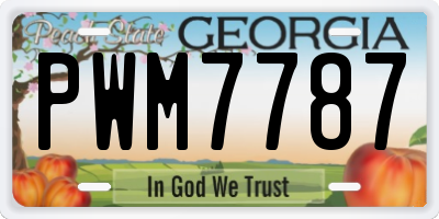 GA license plate PWM7787