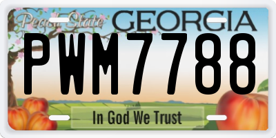 GA license plate PWM7788