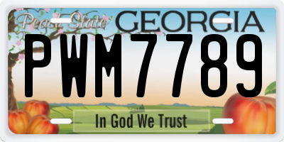 GA license plate PWM7789