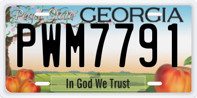 GA license plate PWM7791