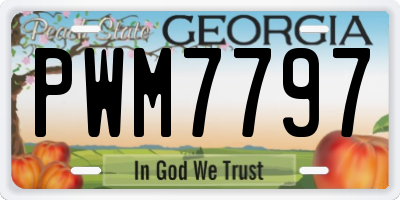 GA license plate PWM7797
