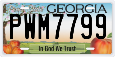 GA license plate PWM7799
