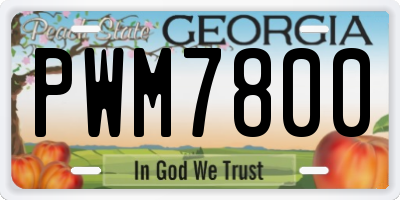 GA license plate PWM7800