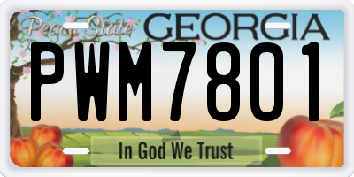 GA license plate PWM7801
