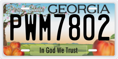 GA license plate PWM7802