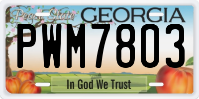 GA license plate PWM7803