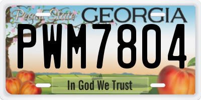 GA license plate PWM7804