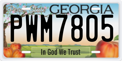 GA license plate PWM7805