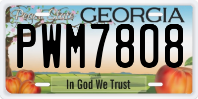 GA license plate PWM7808